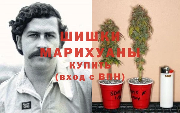 трава Верея