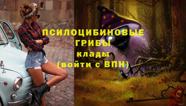 спиды Верхний Тагил