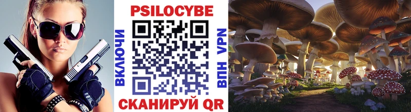 Галлюциногенные грибы MAGIC MUSHROOMS  Купить  Миньяр 